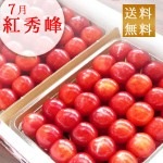 予約 さくらんぼ お中元 ギフト 7月 紅秀峰 山形県産 特秀 L1kg 手詰（500g×2）送料無料 他の商品と同梱不可 遠方送料+500円