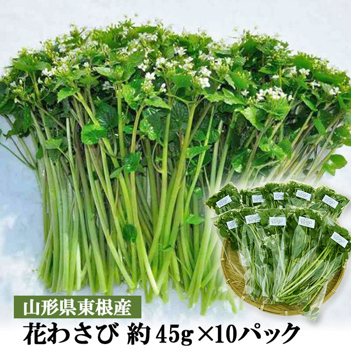 3月発送 山形県産 花わさび 約45gx10パック 期間限定 冬ギフト