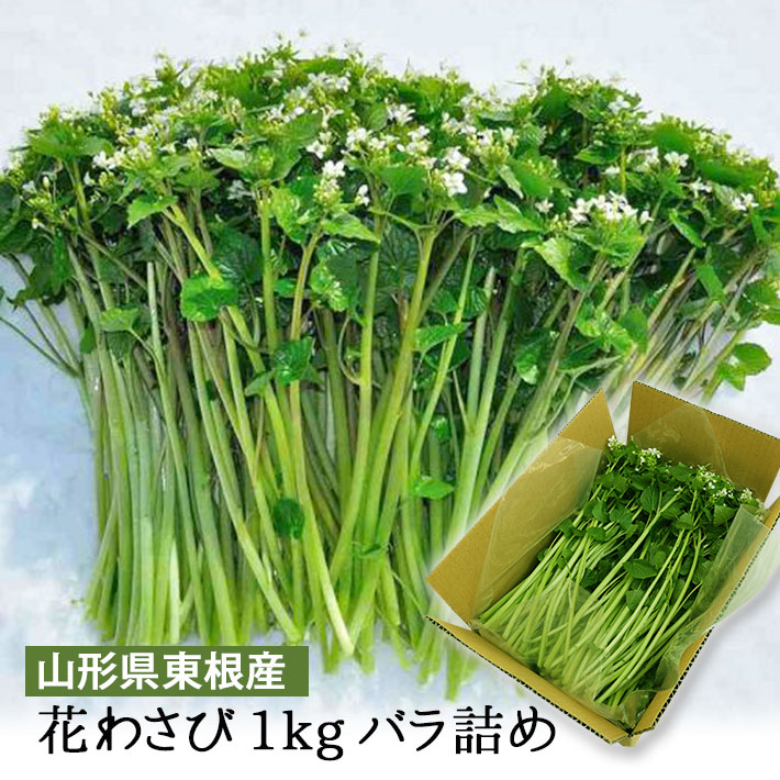 3月発送 山形県産 花わさび 約1kg バラ詰 冬ギフト 期間限定商品