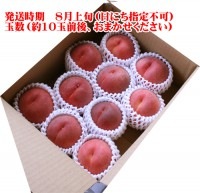 8月上旬お届けご予約 山形県産 桃 小玉桃 紅国見3kg（玉数おまかせ） 【生産者直送のためほかの商品と同梱不可】|桃|くだもの