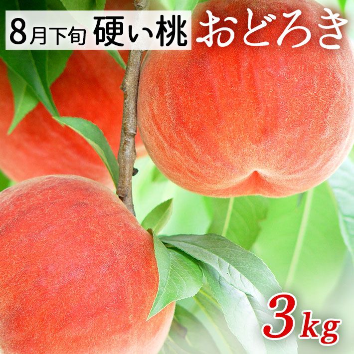 28 山形県産 おどろき 大玉 約5kg ❣️ 山形県産 おどろき 約 28 山形県産 おどろき 大玉 約5kg ❣️ 山形県産 おどろき 約