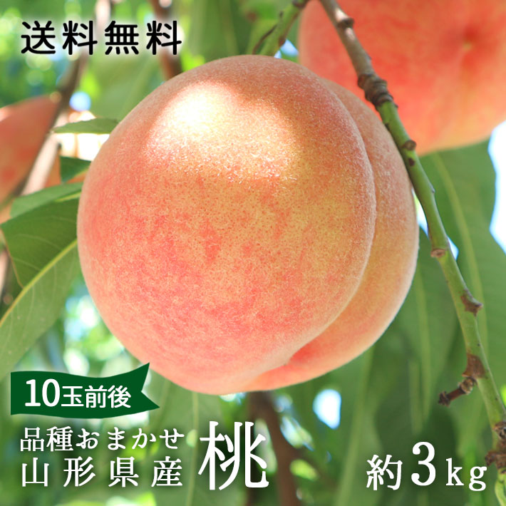 桃様 リクエスト 5点 まとめ商品 桃様 リクエスト 5点 まとめ商品