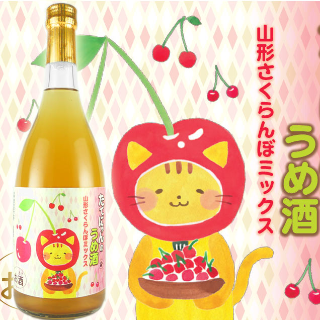 ���Ƥˤ��Τ���� �����������ܥߥå��� 720ml �ݤ����¤ �߼�