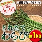 山形県 戸沢村産 天然わらび 約1kg 送料無料|天然山菜|野菜