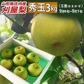 和梨 刈屋梨 秀玉(しゅうぎょく) 約3kg (玉数おまかせ) 生産元直送の為同梱不可 希少な和梨|刈屋梨|くだもの