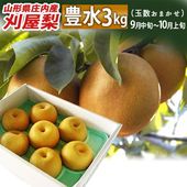 刈屋梨 豊水(ほうすい) 約3kg (玉数おまかせ)  山形県酒田市産 生産元直送の為同梱不可 希少な和梨 人気の品種|刈屋梨|くだもの