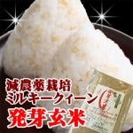 発芽玄米300g ミルキークィーン (山形県南陽市黒澤ファーム) 山形のお米|ミルキークィーン|お米・餅・赤飯