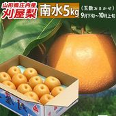 和梨 刈屋梨 南水(なんすい)約5kg 9月下旬頃〜10月15日頃 (玉数おまかせ) 山形県庄内酒田市産【生産元直送の為同梱不可】|刈屋梨|くだもの