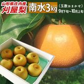 9月下旬頃〜10月15日頃発送 和梨 刈屋梨 南水(なんすい)約3kg (玉数おまかせ) 山形県庄内酒田市産【生産元直送の為同梱不可】|刈屋梨|くだもの