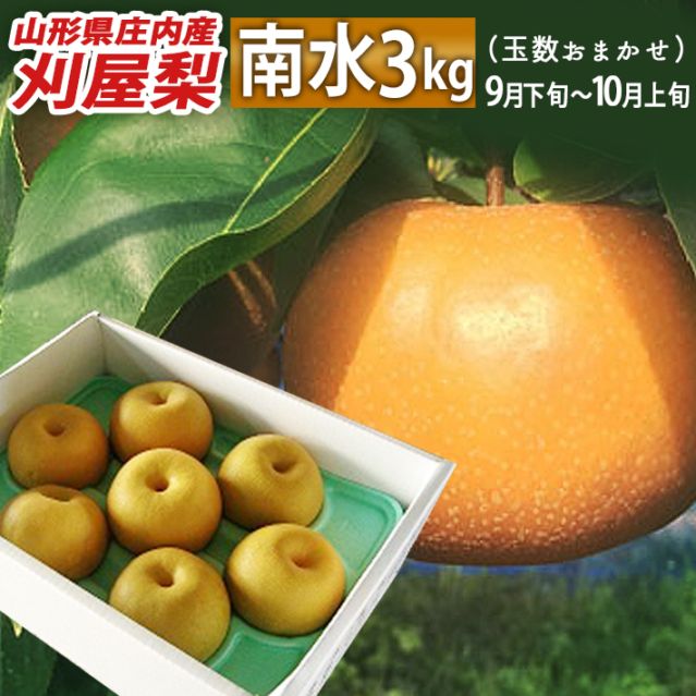 9月下旬頃～10月15日頃発送 和梨 刈屋梨 南水(なんすい)約3kg (玉数