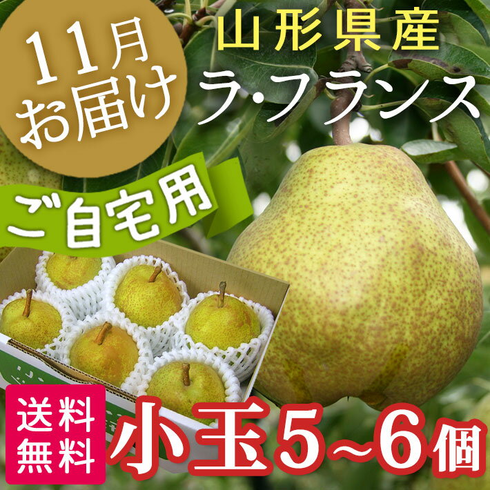 山形県産ラフランス食べ切りセット（秀Ｌ５～６個）<BR>【送料無料】【北海道、中国、四国、九州、沖縄は送料+500円】