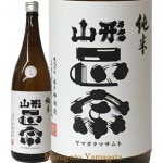 2月7日入荷予定 山形正宗 純米 生 1800ml 季節限定生酒 山形の日本酒|山形正宗|日本酒（あーな行）