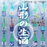 山形の生酒限定醸造頒布会 300ml×6本を3ヶ月間お届け お届け時期2025年5月〜7月 母の日 父の日 お中元のギフトに|日本酒セット|日本酒を選ぶお手伝い
