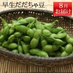 【本場鶴岡】早生だだちゃ豆900g（450g×2） エコファーマ認定の朝採りだだちゃ豆を即クール便で発送【生産者直送のため同梱不可】枝|だだちゃ豆|野菜