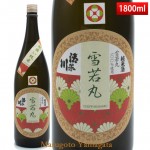 ������ ���Ƽ� ���� 1800ml �����ɥ��������� ���ܼ� ����