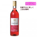 籺ƺ쥮顼磻籺ƺۡʥ 720ml ۻԡ Υ磻