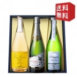 ���ѡ�����󥰥磻�� �� ˢ 750ml��3�� ������٥��å� �����Υ磻�� ����Ȣ���� ����̵��