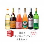 ワイン 3ヶ月頒布会 デイリーワイン5本〜6本セット おまけ付 毎月25日頃お届け 送料無料 遠方送料+500円|おすすめワインセット|ワイン