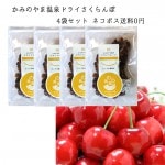国産 かみのやま温泉 ドライフルーツ さくらんぼ 紅秀峰 40gx4袋入 ネコポス送料無料 cherry 佐藤錦  冬ギフト プレゼント|さくらんぼ|くだもの