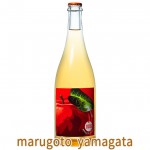 シードル グレープリパブリック アップルリパブリック2019 750ml GRAPE REPABRIC 山形県南陽市  ギフト プレゼント|グレープリパブリック|ワイン