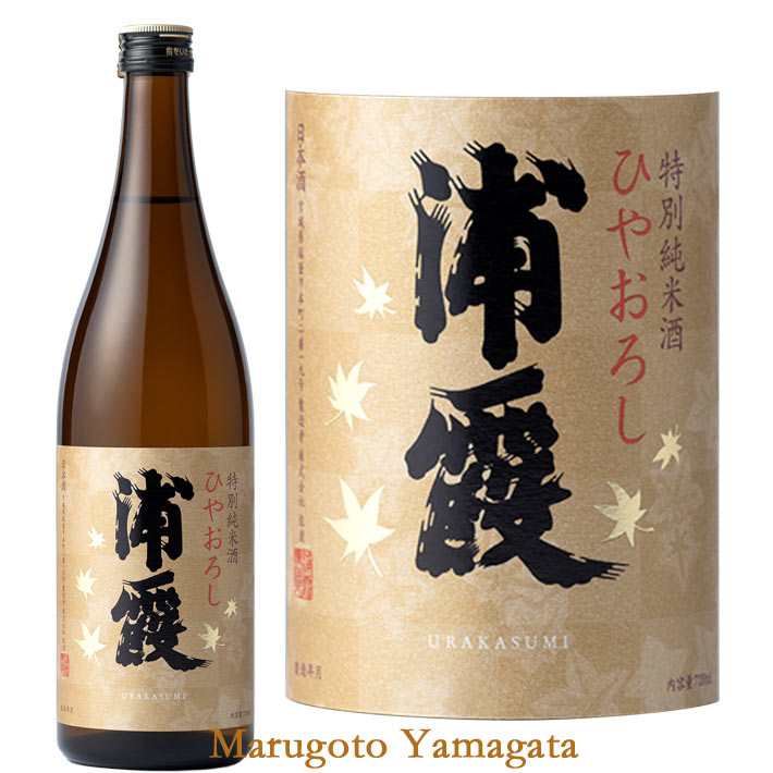 9月10日頃入荷予定 日本酒 浦霞 特別純米酒 ひやおろし 720ml 宮城県 塩竃市 秋のお酒 クール便