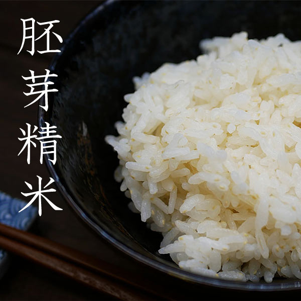 米 2025年度産 令和7年度産 無洗米 はえぬき 胚芽精米 5kg 送料無料