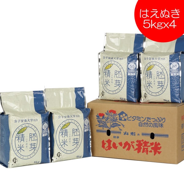 米 2025年度産 令和7年度産 無洗米 はえぬき 胚芽精米 20kg  5kg x4 送料無料 山形県産