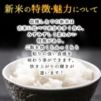 新米 予約 米 令和5年度産 2023年度米 黒澤ファーム ミルキークィーン10kg 10月下旬発送開始予定 生産元直送のため他商品と同梱不可|黒澤ファームのお米|お米・餅・赤飯