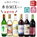 11月中旬頃発送予定  2020年 山形ヌーヴォー 飲み比べ赤白MIX6本セット おまけ付き 送料無料 ワイン 新酒 ヌーボー|山形のワイン