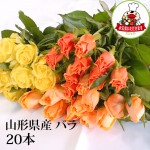 Х 20  ϹԻ ¥Х ڤ ľΤƱԲ ̵ ԥ󥯷 ַ 󥸲 ٤ޤ 