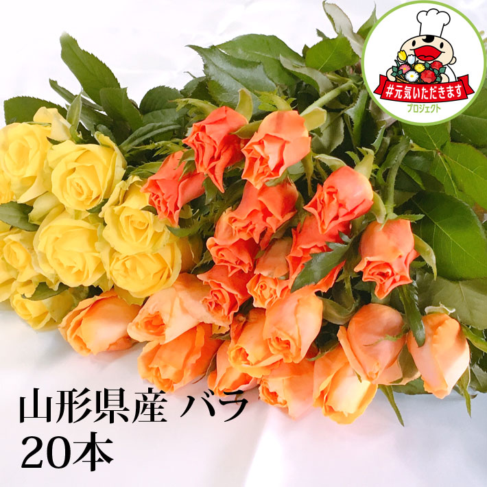 バラ 20本 山形県 寒河江市産 大沼バラ園 切り花 生産者直送のため同梱