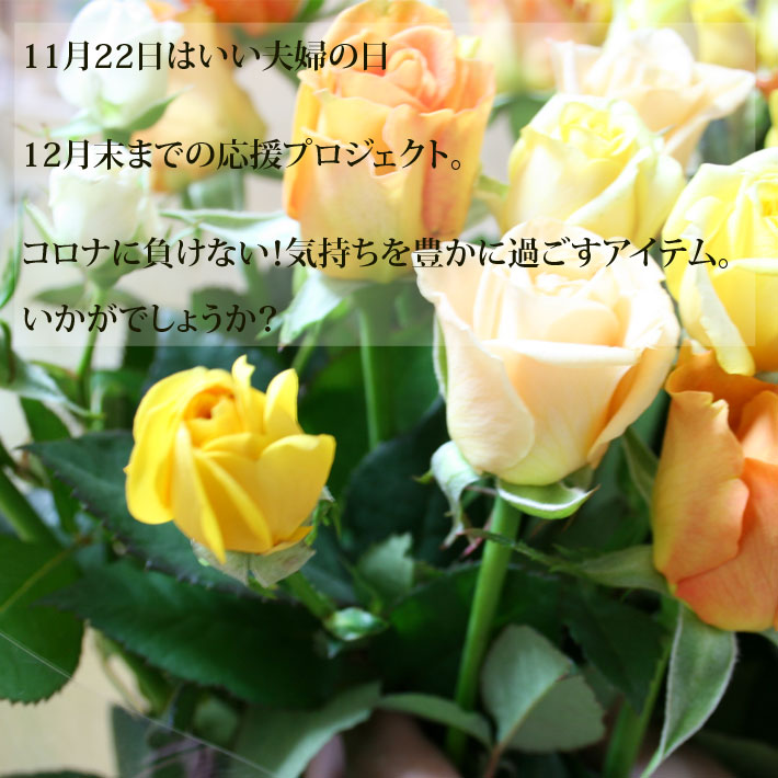 バラ 30本 山形県 寒河江市産 大沼バラ園 切り花 生産者直送のため同梱