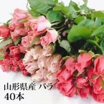 バラ 40本 山形県 寒河江市産 大沼バラ園 切り花 生産者直送のため同梱不可 送料無料 ピンク系 赤系 オレンジ黄色系 から選べます クール便|寒河江のバラ|野菜