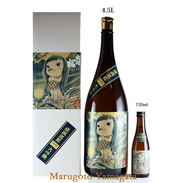 �������� Ǽ������1���� �б��� ���� ���ޥӥ����� 4.5L 2��5�� ���ܼ� ����