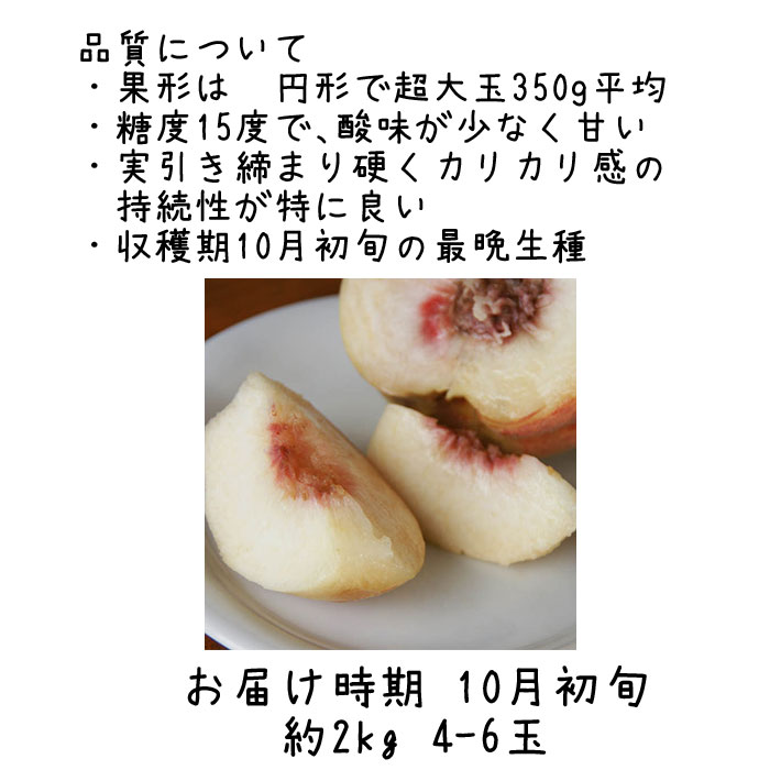 2025年 10月初めお届け 桃 特大 硬い桃 硬おもい 約2kg(4-6玉) 山形 2025年 10月初めお届け 桃 特大 硬い桃 硬おもい 約2kg(4-6玉) 山形
