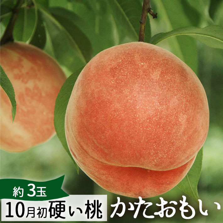 摘果桃 硬い桃10キロ 10月初めお届け 桃 特大 硬い桃 硬おもい 約2kg（4-6玉） 山形県