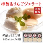 顼 ݡ̣ 8ĥå ̵  ľΤƱԲ ޥΡ  ꡼