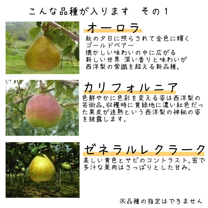11月、12月お届け洋梨 西洋梨 3-4種類 食べ比べセット 3kg（7-9玉前後