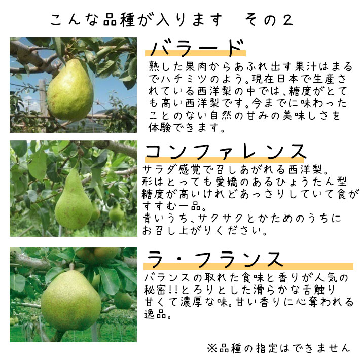 11月、12月お届け洋梨 西洋梨 3-4種類 食べ比べセット 3kg（7-9玉前後