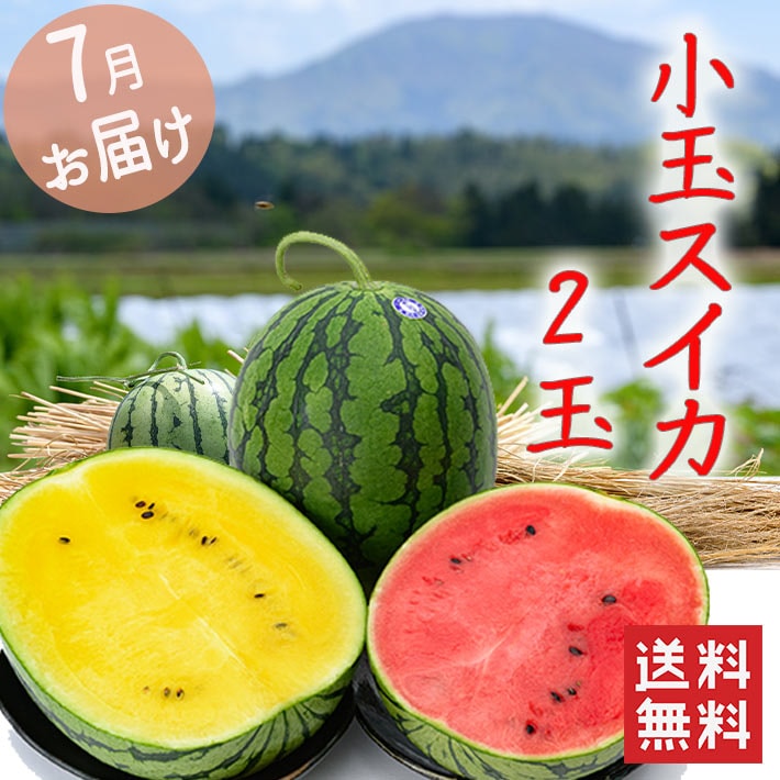 スイカ 2色の小玉すいかセット 山形県産 7月中旬～7月下旬発送 2玉3kg