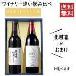 プレゼント ぶどう品種 マスカットベーリーAのワイナリー違い飲み比べセット 化粧箱入 TタケダワイナリーＸ朝日町ワイン|セット|ワイン