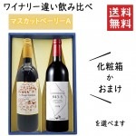 プレゼント ぶどう品種 マスカットベーリーAのワイナリー違い飲み比べセット 化粧箱入 タケダワイナリーＸ了美ヴィンヤード＆ワイナリー|セット|ワイン