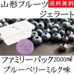  顼 ֥롼٥꡼ߥ륯  ̳ 2000ml ̵  ϥɥåɥ٥꡼  ꡼