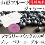  顼 ֥롼٥꡼衼  ̳ 2000ml ̵  ϥɥåɥ٥꡼  ꡼