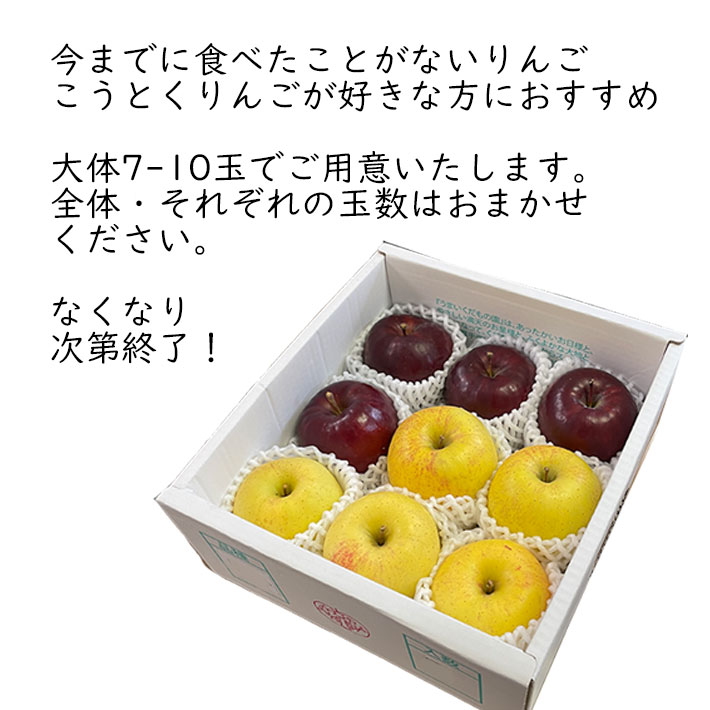 蜜入り りんご いわせっ娘＆はるか 詰め合わせ 約2kg（7-10玉）幻の
