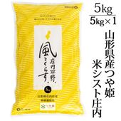 ���� 2025ǯ�ٻ� ����7ǯ�ٻ� �� ���̺����� �Ĥ�ɱ 5kg �������� �ƥ����Ⱦ��� ����̵��