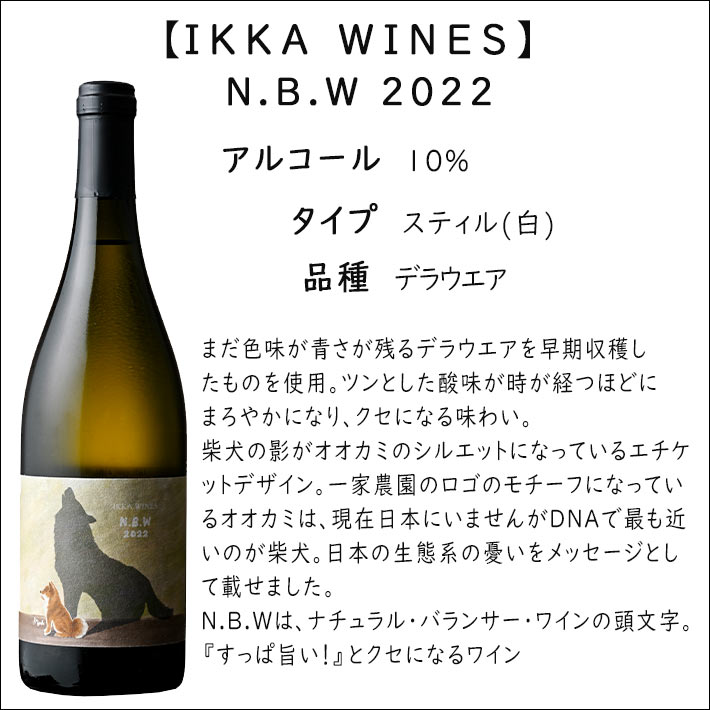 ナチュラルワイン 一家ワインズ N.B.W 2022 750ml クール便 山形 東根