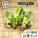   β 5ѥå ϥ ľΤ¾ʤƱԲ