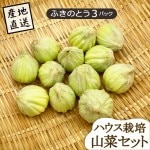   դΤȤ 3ѥå ϥ ľΤ¾ʤƱԲ