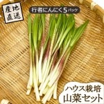   ԼԤˤˤ 5ѥå ϥ ľΤ¾ʤƱԲ